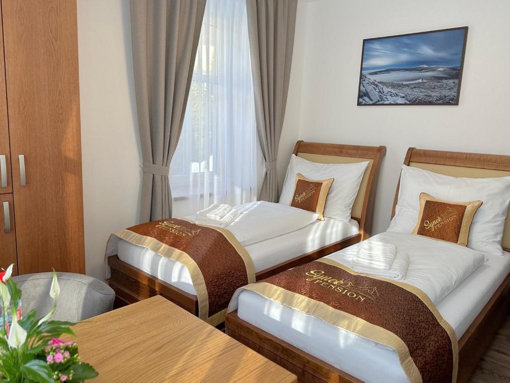 Synek Pension Špindlerŭv Mlýn Екстериор снимка